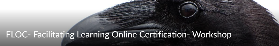 FLOC - Facilitating Learning Online Certification- Workshop